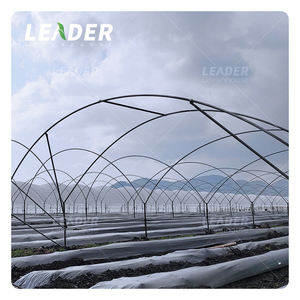 Serre agricole de 1 ha, 9 m, en <span class=keywords><strong>film</strong></span> plastique, tunnel de culture de myrtilles, avec cadre galvanisé pour les baies - Product Image 4