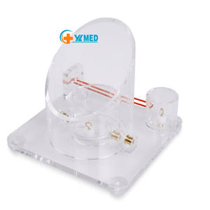 Modèle d'entraînement aux nœuds chirurgicaux superficiels, entraînement polyvalent pour la pratique de la <span class=keywords><strong>formation</strong></span> aux nœuds chirurgicaux en structure profonde - Product Image 1