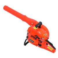 Souffleur à essence portatif 58cc 2KW haute puissance, souffleur à neige, extincteur forestier EB5800