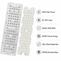 Kit de module LED de remplacement 80 LED 3030 SMD 50W avec lentille 236x70mm 8S10P DC 48V pour éclairage de tunnel et de rue