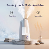 Humidificateur ultrasonique 5L à double buse avec contrôle de la brume réglable, brume chaude et froide, pour la maison et la chambre