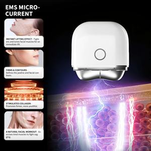 <span class=keywords><strong>Appareil</strong></span> de microcourant pour le visage, sculpteur et liftant de la peau, en alliage de zinc, masseur facial - Product Image 3