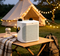 Haut-parleur Bluetooth 5.3 portable avec double microphone tactile, 2000 mAh, pour karaoké, avec entrée TF, USB et AUX, idéal pour les soirées