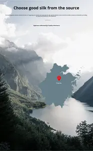 Edredón Superior de Seda de Morera Doble Palacio Hefang Family, Antiácaros, Jacquard, Cuatro Estaciones, Seda Larga y Algodón - Product Image 2