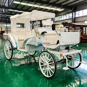 Carro de turismo eléctrico de estilo simple y color blanco a precio de fábrica, clásico vagón europeo cubierto. - Product Image 6