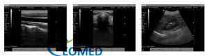 Grosir Rumah Sakit 12.1 inci penggunaan manusia dokter hewan Laptop B & W mesin pemindai <span class=keywords><strong>Ultrasound</strong></span> perangkat Echographie - Product Image 6