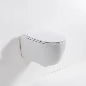 Articles sanitaires wc monobloc en céramique water-closet salle de bain toilette suspendue au mur cuvette de toilette sans rebord avec citerne