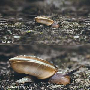 Dropshipping 2 in1 키트 범용 클립 스마트 폰 카메라 렌즈 광각 매크로 렌즈 아이폰 화웨이 Xiaomi 전화 - Product Image 6