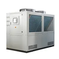 Modanature/coltura idroponica/agitatore/sistema di raffreddamento del latte 40 HP 30 Ton refrigeratore d'acqua raffreddato ad aria in vendita