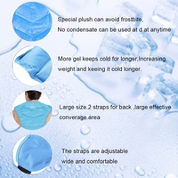 Compresse froide et chaude multifonction pour les hanches et le dos, sac de glace pour soulager la douleur, physiothérapie à domicile, coussin en flanelle rafraîchissant réutilisable, classe II