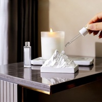 Ensemble cadeau diffuseur de parfum et bougie parfumée de luxe, fabriqué avec de la cire de soja naturelle, parfum longue durée pour la décoration de la maison