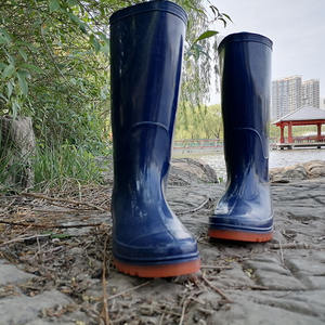 סיטונאי זול דניאל וולינגטון petite100 % עמיד למים לגברים/גשם מגפיים/גברים נעליים - Product Image 2