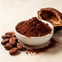 Poudre de cacao alcalinisée de qualité alimentaire 25 kg pour la pâtisserie, le chocolat, les boissons au chocolat chaud