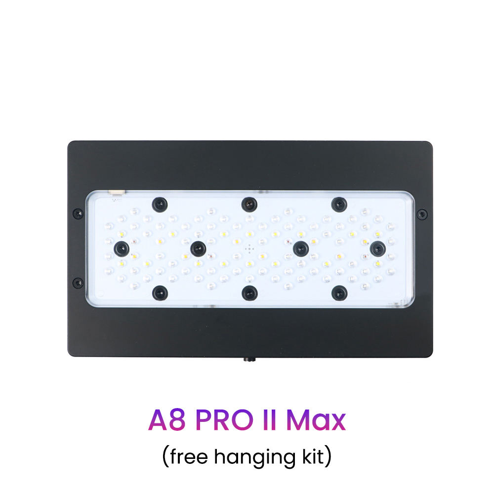 A8 pro max