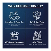 Kit de peinture céramique DIY, cadeau d'anniversaire pour enfants et adultes, peignez votre propre ensemble de poterie, fournisseur OEM personnalisé, étiquette privée