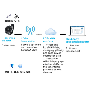 สมาร์ทวอทช์แบบสายรัดข้อมือ Lorawan ระบบระบุตำแหน่ง ผู้ผลิตขายตรง สำหรับผู้สูงอายุ ป้องกันการสูญหาย - Product Image 4