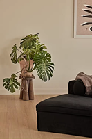 Table basse en bois massif rustique minimaliste classique, fabriquée à la main, légère, recyclée, meubles de maison, salon, salle à manger, thé inclus