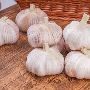 Qingchun Chinese Low Price Fresh Garlic