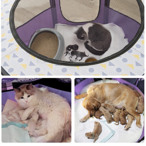 Litière pour chat, clôture pour chien, <span class=keywords><strong>tipi</strong></span> pliable pour petits chiens, parc pliable pour chiots, cage pour chiens, chenils, parc pour lapins - Product Image 4