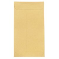 Sacs d'expédition biodégradables personnalisés A3 A4 A5, enveloppes professionnelles en carton kraft recyclé, expédition express, papier coloré