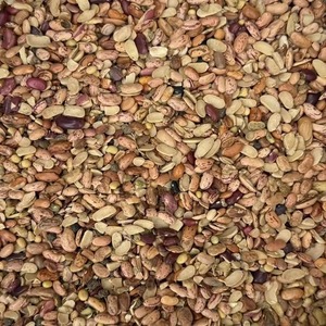 Frijoles Rajma Rechazados para Alimentación Animal y como Fuente de Proteína Disponible a un Precio Razonable - Product Image 3