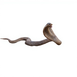 Modelo de Serpiente Reptil de Comercio Exterior R68, Cobra de Plástico de Simulación, Serpiente Venenosa Anfibio, Juguete de Broma para Jóvenes (15-35) - Product Image 1