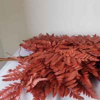 Buket Bunga Yang Diawetkan, Daun Daun Pakis Awet Bunga Kering