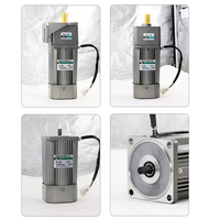 Moteur électrique monophasé 370W avec contrôleur de vitesse 110V/220V 50Hz/60Hz à réducteur, en kit
