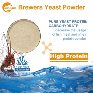 2025 phụ gia thức ăn chăn nuôi thành phần bột men bia 40 45 bột protein - Product Image 4
