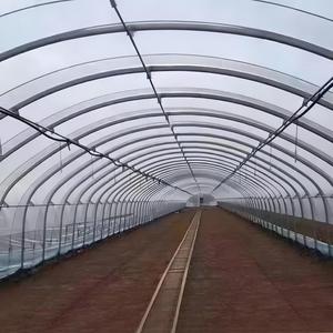 <span class=keywords><strong>Serre</strong></span> en <span class=keywords><strong>plastique</strong></span> à une seule travée avec structure en acier galvanisé et film PE pour les semis de légumes et de fleurs - Product Image 5