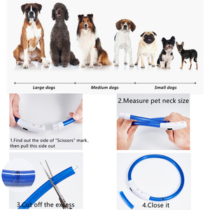 3 Modellen Oplaadbare Hond Led Oplaadbuis Knipperende Nacht Hond Halsbanden Kat Halsbanden Voor Huisdieren Thuis - Product Image 6