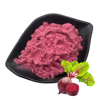 Poudre d'écorce de betterave en vrac OEM de haute qualité, extrait naturel d'écorce de betterave de qualité alimentaire en bouteille pour aliments, boissons et compléments alimentaires