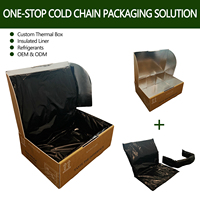 Boîte d'expédition isolée en aluminium, carton de transport thermique double, boîte isotherme pour la livraison d'aliments congelés