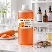 Minyak Biji Wortel 100% Murni Alami Cold Pressed Oil Carrier Oil untuk Perawatan Kulit Perawatan Wajah & Bahan Baku Kosmetik Grosir