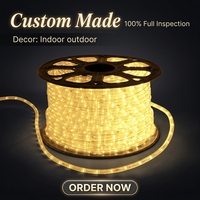 Guirlande lumineuse LED étanche avec fil de cuivre en PVC transparent 3W par mètre pour la décoration de Noël, des parcs et des paysages commerciaux