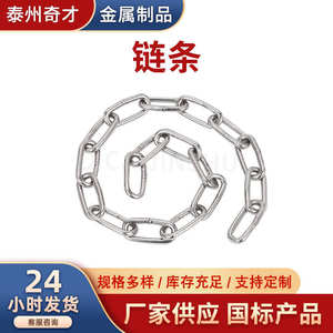 Eslinga de Cadena de Acero Inoxidable 304, Elevación Industrial de Alta Resistencia, Longitud Fija Sin Fin - Product Image 5