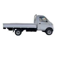 Vente directe d'usine vente chaude 120km conduite à gauche Rhd démarrage électrique Mini Cargo Heavy Duty Dumper Vans et camion