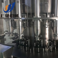 Ligne de production automatique complète de jus de fruits, embouteillage, remplissage, capsulage, machine de traitement de jus de boisson