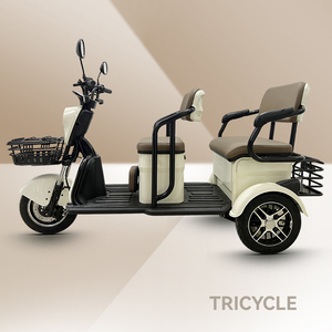 Fabbrica di LVNENG prodotto tre ruote C5-2 comodo auto-progettato Touring adulto triciclo elettrico ciclomotore <span class=keywords><strong>moto</strong></span> - Product Image 6