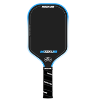 Vente Flash - Raquette de Pickleball Composite en Fibre de Verre et Nid d'Abeille PP, Approuvée USAPA, Personnalisée, Génération 5, pour Adultes, Idéale pour l'Extérieur