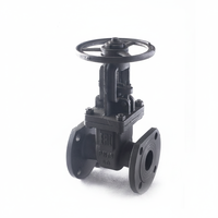 Válvula de Compuerta de Acero al Carbono GOST Z41H-16C Personalizada DN50-DN300 con Extremos de Brida para Agua Industrial a Baja/Media/Alta/Normal Temperatura
