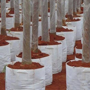 Tela no tejida para cubierta de granja, geotextil bolsa para cultivo de plantas, maceta de fieltro para flores, venta de fábrica - Product Image 4