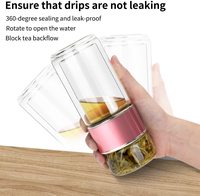 Bouteille d'eau en verre borosilicate Rayko avec infuseur à thé, design minimaliste, certifiée LFGB pour la maison et le bureau