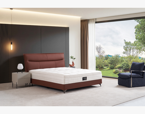 Double Layer Eco-Leather Smart Bed Frame Reclining Convertible <b>Mattress</b> Comfort Pocket Spring Midcentury Modern Bedroom - Product Image 1