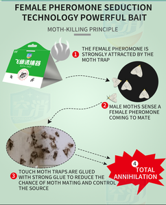 5 pièces par boîte phéromone vêtements piège à mites Non toxique puissant emballé sous vide pour la lutte antiparasitaire maisons placards papier matériel - Product Image 4