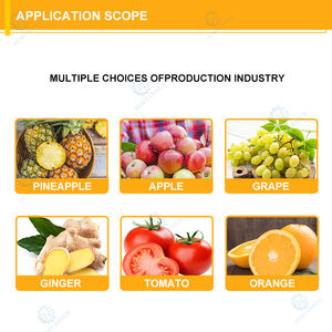 Presse-agrumes industriel lent 500 kg, presse-agrumes à vis pour pommes et tomates avec broyeur, machine à jus à haut rendement, extracteur de jus de fruits et légumes - Product Image 2