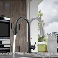 Robinet de cuisine moderne à tirette en acier inoxydable Robinet de cuisine domestique résistant aux éclaboussures avec noyau de valve en céramique pour lavabo et évier
