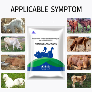 Additif alimentaire pour le bétail bovin et ovin améliorant la résistance des os avec des acides aminés de qualité alimentaire - Product Image 3