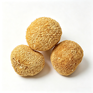 Hongos Chanterelle Secos Enteros, <span class=keywords><strong>Cantharellus</strong></span> Cibarius, Color Amarillo Dorado Natural, Cosechados en la Naturaleza, Secados al Aire, Grado Alimenticio, a Granel, OEM - Product Image 5