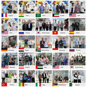 Machine à Emballer Verticale Automatique pour Fruits, Fraises, Légumes, <span class=keywords><strong>Pois</strong></span> Verts, Carottes, Ligne d'Emballage pour Carton - Product Image 6